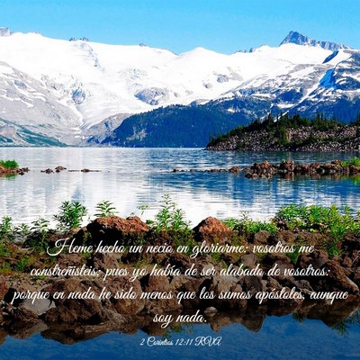 Picture 03 - 2 Corintios 12:11 RVA - Heme hecho un necio en gloriarme: vosotros me - Bible Verse Picture