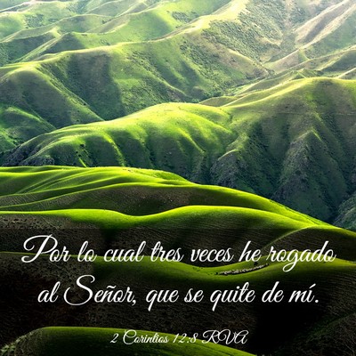 Picture 03 - 2 Corintios 12:8 RVA - Por lo cual tres veces he rogado al Señor, que - Bible Verse Picture