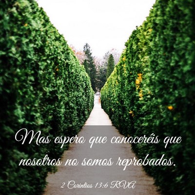 Picture 03 - 2 Corintios 13:6 RVA - Mas espero que conoceréis que nosotros no somos - Bible Verse Picture