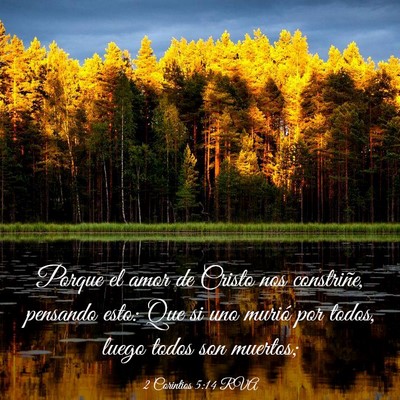 Picture 03 - 2 Corintios 5:14 RVA - Porque el amor de Cristo nos constriñe, pensando - Bible Verse Picture