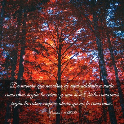 Picture 03 - 2 Corintios 5:16 RVA - De manera que nosotros de aquí adelante á nadie - Bible Verse Picture