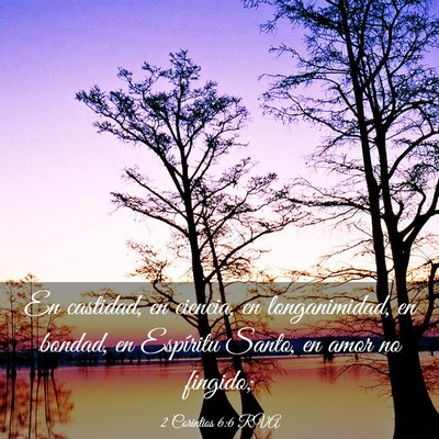 Picture 03 - 2 Corintios 6:6 RVA - En castidad, en ciencia, en longanimidad, en - Bible Verse Picture