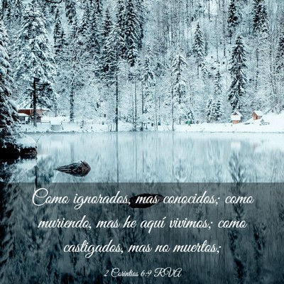 Picture 03 - 2 Corintios 6:9 RVA - Como ignorados, mas conocidos; como muriendo, mas - Bible Verse Picture