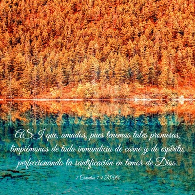 Picture 03 - 2 Corintios 7:1 RVA - ASI que, amados, pues tenemos tales promesas, - Bible Verse Picture