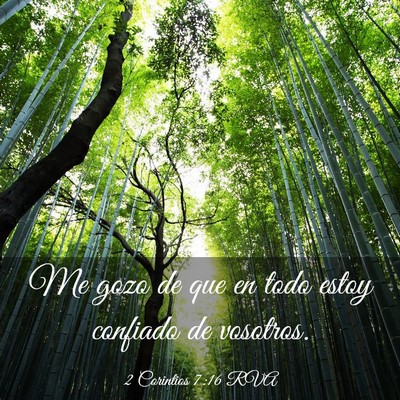 Picture 03 - 2 Corintios 7:16 RVA - Me gozo de que en todo estoy confiado de - Bible Verse Picture