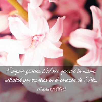 Picture 03 - 2 Corintios 8:16 RVA - Empero gracias á Dios que dió la misma - Bible Verse Picture