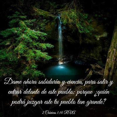 Picture 03 - 2 Crónicas 1:10 RVA - Dame ahora sabiduría y ciencia, para salir y - Bible Verse Picture