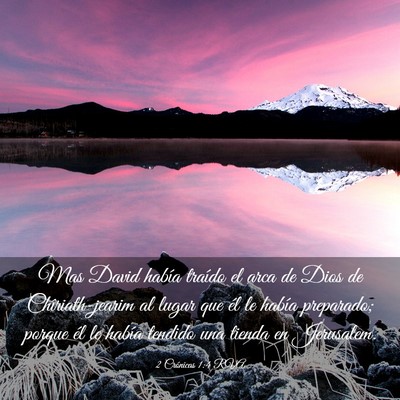 Picture 03 - 2 Crónicas 1:4 RVA - Mas David había traído el arca de Dios de - Bible Verse Picture