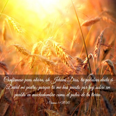 Picture 03 - 2 Crónicas 1:9 RVA - Confírmese pues ahora, oh Jehová Dios, tu - Bible Verse Picture