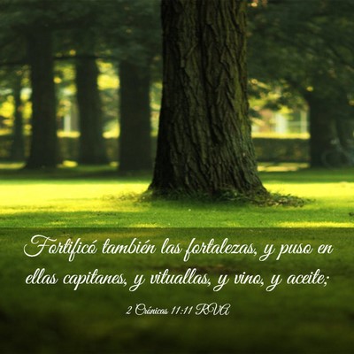 Picture 03 - 2 Crónicas 11:11 RVA - Fortificó también las fortalezas, y puso en - Bible Verse Picture
