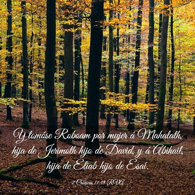 Picture 03 - 2 Crónicas 11:18 RVA - Y tomóse Roboam por mujer á Mahalath, hija de - Bible Verse Picture