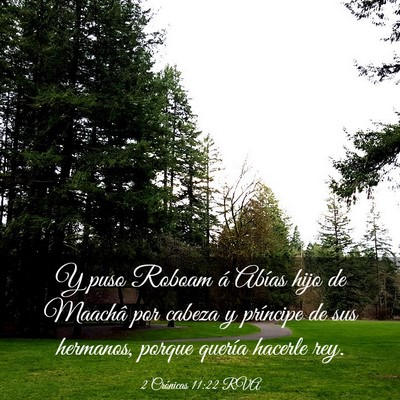 Picture 03 - 2 Crónicas 11:22 RVA - Y puso Roboam á Abías hijo de Maachâ por - Bible Verse Picture
