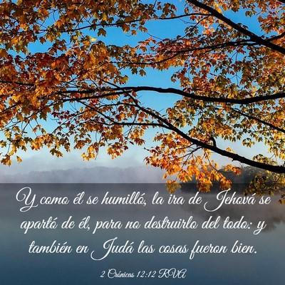 Picture 03 - 2 Crónicas 12:12 RVA - Y como él se humilló, la ira de Jehová se - Bible Verse Picture