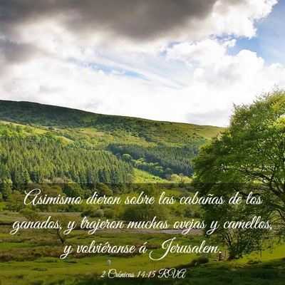 Picture 03 - 2 Crónicas 14:15 RVA - Asimismo dieron sobre las cabañas de los - Bible Verse Picture