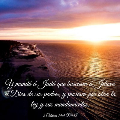 Picture 03 - 2 Crónicas 14:4 RVA - Y mandó á Judá que buscasen á Jehová el Dios - Bible Verse Picture