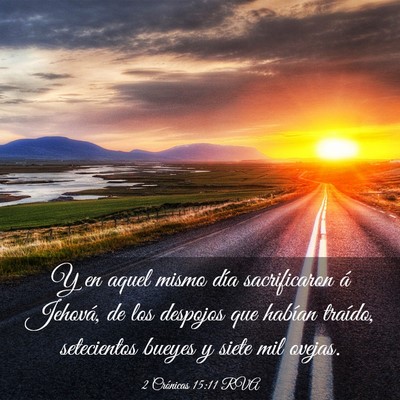 Picture 03 - 2 Crónicas 15:11 RVA - Y en aquel mismo día sacrificaron á Jehová, de - Bible Verse Picture