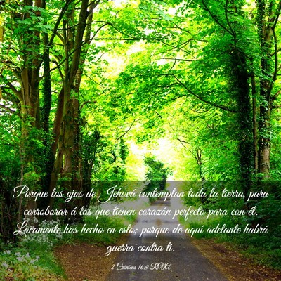 Picture 03 - 2 Crónicas 16:9 RVA - Porque los ojos de Jehová contemplan toda la - Bible Verse Picture