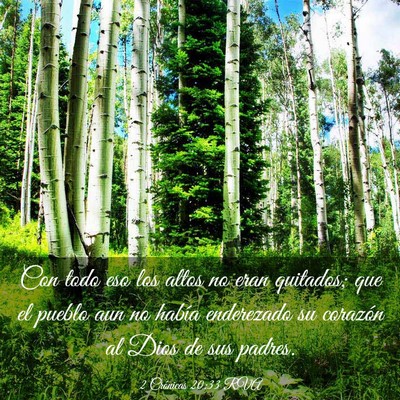 Picture 03 - 2 Crónicas 20:33 RVA - Con todo eso los altos no eran quitados; que el - Bible Verse Picture