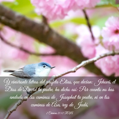 Picture 03 - 2 Crónicas 21:12 RVA - Y viniéronle letras del profeta Elías, que - Bible Verse Picture