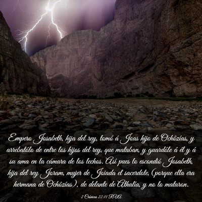 Picture 03 - 2 Crónicas 22:11 RVA - Empero Josabeth, hija del rey, tomó á Joas hijo - Bible Verse Picture