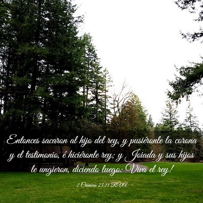 Picture 03 - 2 Crónicas 23:11 RVA - Entonces sacaron al hijo del rey, y pusiéronle - Bible Verse Picture