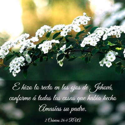 Picture 03 - 2 Crónicas 26:4 RVA - E hizo lo recto en los ojos de Jehová, conforme - Bible Verse Picture