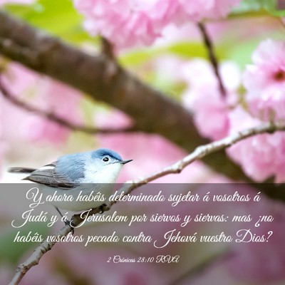 Picture 03 - 2 Crónicas 28:10 RVA - Y ahora habéis determinado sujetar á vosotros - Bible Verse Picture