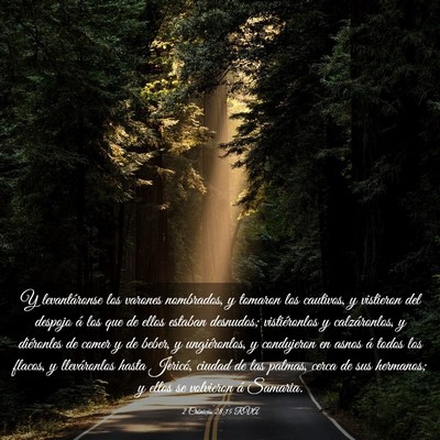 Picture 03 - 2 Crónicas 28:15 RVA - Y levantáronse los varones nombrados, y tomaron - Bible Verse Picture