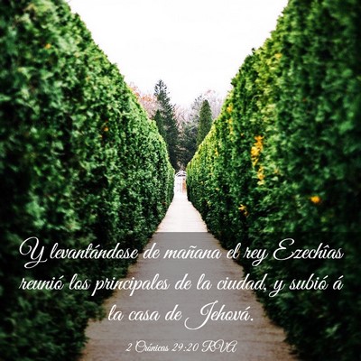 Picture 03 - 2 Crónicas 29:20 RVA - Y levantándose de mañana el rey Ezechîas - Bible Verse Picture