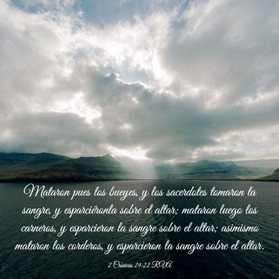 Picture 03 - 2 Crónicas 29:22 RVA - Mataron pues los bueyes, y los sacerdotes tomaron - Bible Verse Picture