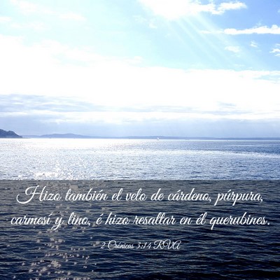 Picture 03 - 2 Crónicas 3:14 RVA - Hizo también el velo de cárdeno, púrpura, - Bible Verse Picture