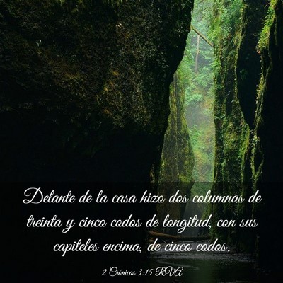 Picture 03 - 2 Crónicas 3:15 RVA - Delante de la casa hizo dos columnas de treinta y - Bible Verse Picture