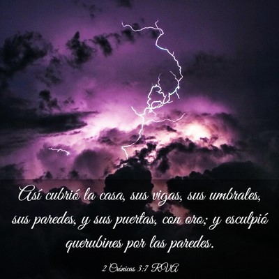 Picture 03 - 2 Crónicas 3:7 RVA - Así cubrió la casa, sus vigas, sus umbrales, - Bible Verse Picture