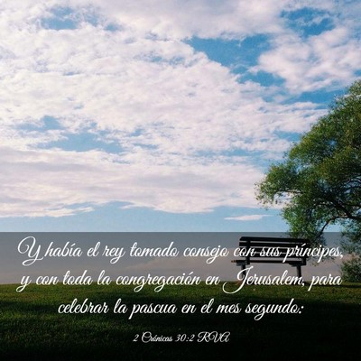 Picture 03 - 2 Crónicas 30:2 RVA - Y había el rey tomado consejo con sus - Bible Verse Picture