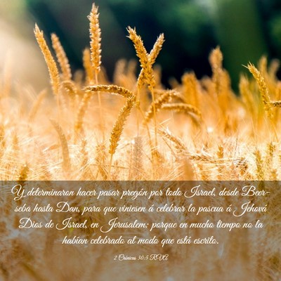 Picture 03 - 2 Crónicas 30:5 RVA - Y determinaron hacer pasar pregón por todo - Bible Verse Picture