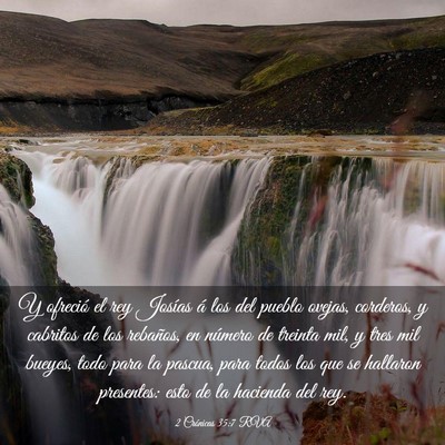 Picture 03 - 2 Crónicas 35:7 RVA - Y ofreció el rey Josías á los del pueblo - Bible Verse Picture