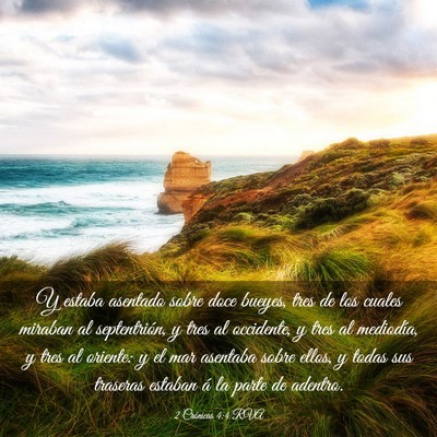Picture 03 - 2 Crónicas 4:4 RVA - Y estaba asentado sobre doce bueyes, tres de los - Bible Verse Picture