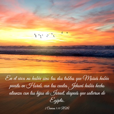 Picture 03 - 2 Crónicas 5:10 RVA - En el arca no había sino las dos tablas que - Bible Verse Picture