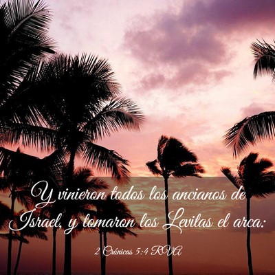 Picture 03 - 2 Crónicas 5:4 RVA - Y vinieron todos los ancianos de Israel, y - Bible Verse Picture