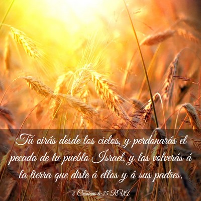 Picture 03 - 2 Crónicas 6:25 RVA - Tú oirás desde los cielos, y perdonarás el - Bible Verse Picture