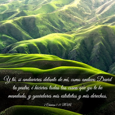 Picture 03 - 2 Crónicas 7:17 RVA - Y tú, si anduvieres delante de mí, como anduvo - Bible Verse Picture