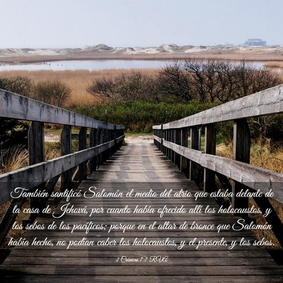 Picture 03 - 2 Crónicas 7:7 RVA - También santificó Salomón el medio del atrio - Bible Verse Picture