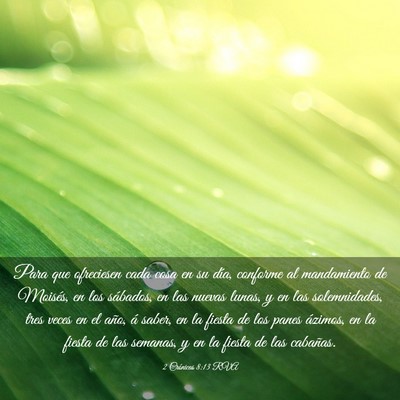 Picture 03 - 2 Crónicas 8:13 RVA - Para que ofreciesen cada cosa en su día, - Bible Verse Picture
