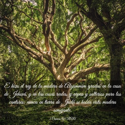 Picture 03 - 2 Crónicas 9:11 RVA - E hizo el rey de la madera de Algummim gradas en - Bible Verse Picture