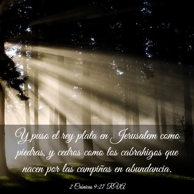 Picture 03 - 2 Crónicas 9:27 RVA - Y puso el rey plata en Jerusalem como piedras, y - Bible Verse Picture