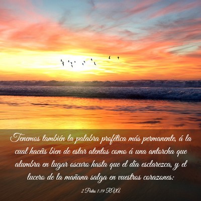 Picture 03 - 2 Pedro 1:19 RVA - Tenemos también la palabra profética más - Bible Verse Picture