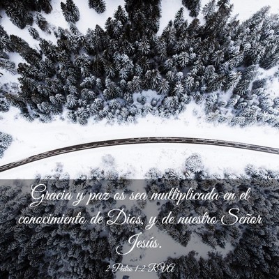 Picture 03 - 2 Pedro 1:2 RVA - Gracia y paz os sea multiplicada en el - Bible Verse Picture