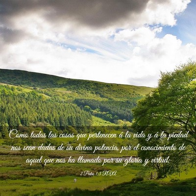 Picture 03 - 2 Pedro 1:3 RVA - Como todas las cosas que pertenecen á la vida y - Bible Verse Picture