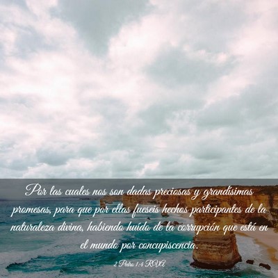 Picture 03 - 2 Pedro 1:4 RVA - Por las cuales nos son dadas preciosas y - Bible Verse Picture