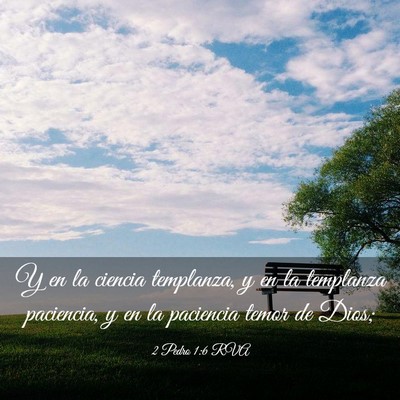 Picture 03 - 2 Pedro 1:6 RVA - Y en la ciencia templanza, y en la templanza - Bible Verse Picture